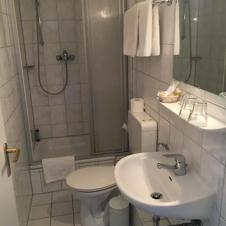 Zur Pfalz Gasthof 3*