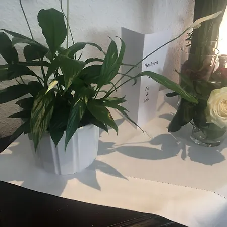 Gasthof Zur Pfalz Hockenheim