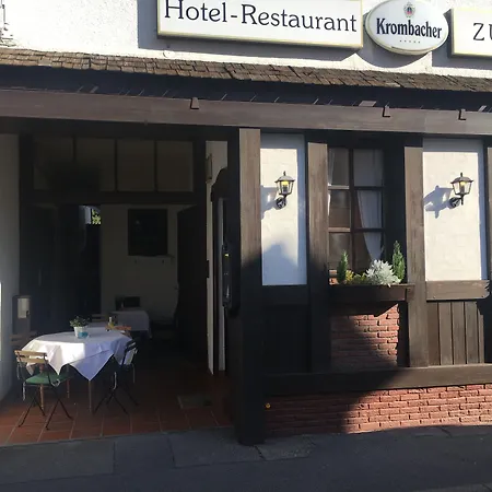 Zur Pfalz Gasthof 3*