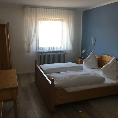 Gæstehus Und Restaurant -gasthaus Zur Pfalz Hockenheim