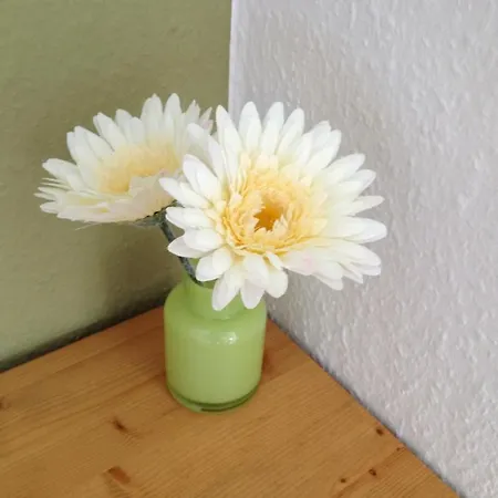 Zur Pfalz Hockenheim