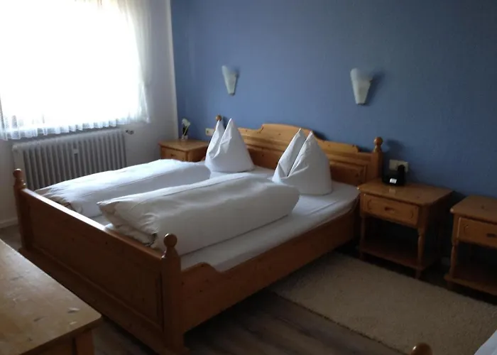 Vendégház Und Restaurant -gasthaus Zur Pfalz 3*